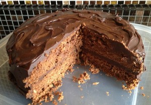 Chocolate and Coconut Cake (2)